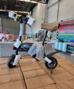 Electronics scooter